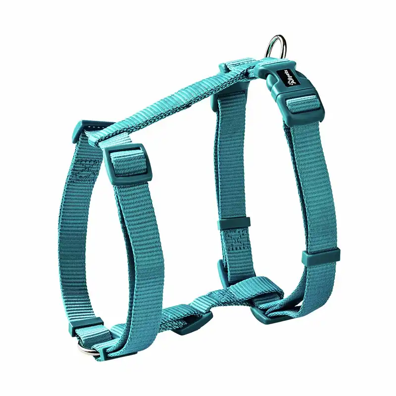 Sonderaktion Allpets Classy Geschirr M–L 52–75 cm / 20 mm turquoise